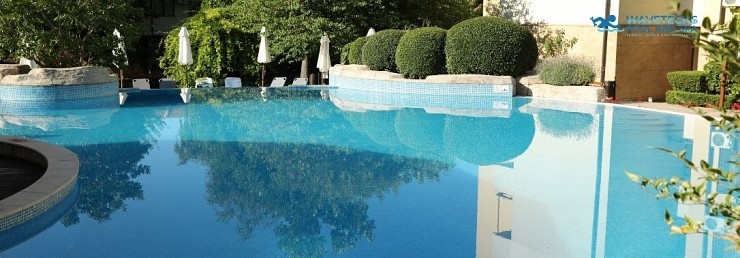 How Calcium Buildup Damages Salt Cells Over Time